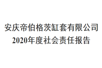 安庆帝伯格茨缸套有限公司 2020年度社会责任报告