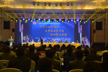 Anhui Top 100 Enterprise ceremony was held at Anqing, ARN ranks Top 56 on the list